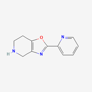 molecular formula C11H11N3O B599217 2-(吡啶-2-基)-4,5,6,7-四氢恶唑并[4,5-c]吡啶 CAS No. 1246891-69-9