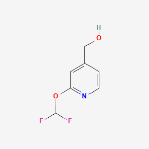 molecular formula C7H7F2NO2 B599228 (2-(二氟甲氧基)吡啶-4-基)甲醇 CAS No. 1268516-11-5