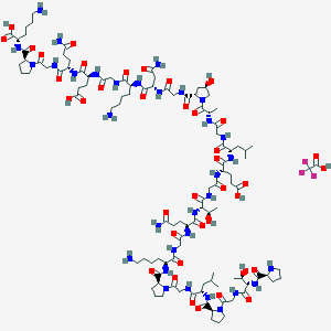 molecular formula C106H174N32O37 B599402 Collagen Type II Fragment Trifluoroacetate CAS No. 144703-90-2