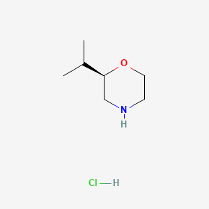 molecular formula C7H16ClNO B599418 (R)-2-Isopropylmorpholine hydrochloride CAS No. 185544-82-5