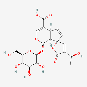 B599551 15-Demethylplumieride CAS No. 132586-69-7