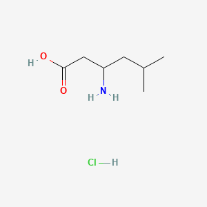 molecular formula C7H16ClNO2 B599588 3-氨基-5-甲基己酸盐酸盐 CAS No. 100869-06-5