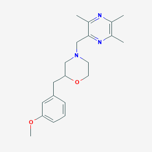 2-(3-methoxybenzyl)-4-[(3,5,6-trimethyl-2-pyrazinyl)methyl]morpholine