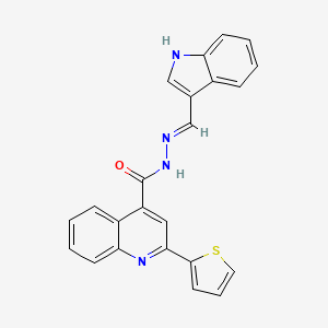 molecular formula C23H16N4OS B5996571 N'-(1H-indol-3-ylmethylene)-2-(2-thienyl)-4-quinolinecarbohydrazide 