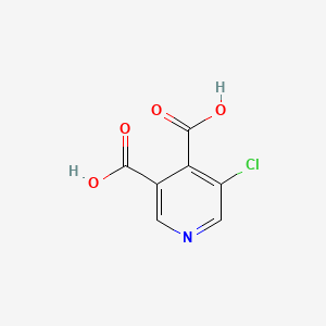 molecular formula C7H4ClNO4 B599667 5-Chloropyridine-3,4-dicarboxylic acid CAS No. 101420-62-6