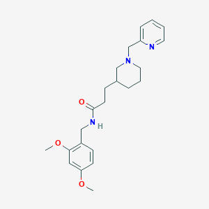 molecular formula C23H31N3O3 B5997408 N-(2,4-dimethoxybenzyl)-3-[1-(2-pyridinylmethyl)-3-piperidinyl]propanamide 