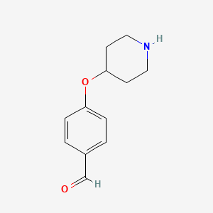 molecular formula C12H15NO2 B599752 4-(4-Piperidinyloxy)benzaldehyde CAS No. 199103-27-0