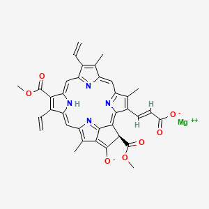 molecular formula C36H28MgN4O7 B599775 Unii-fmn10170B8 CAS No. 111308-93-1