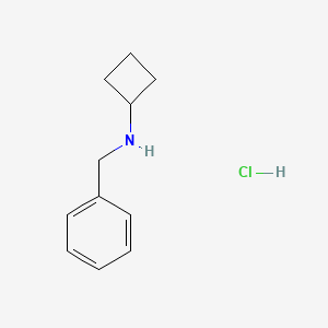 molecular formula C11H16ClN B599802 苄基环丁胺盐酸盐 CAS No. 120218-46-4