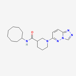 N-cyclooctyl-1-[1,2,4]triazolo[4,3-b]pyridazin-6-yl-3-piperidinecarboxamide