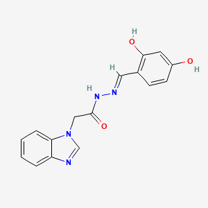 2-(1H-benzimidazol-1-yl)-N'-(2,4-dihydroxybenzylidene)acetohydrazide