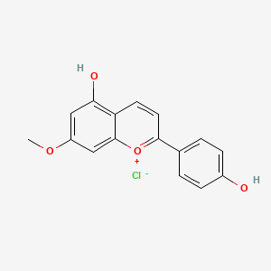 molecular formula C16H13ClO4 B600079 7-(RG)甲氧基芹菜黄酮idin氯化物 CAS No. 161773-51-9