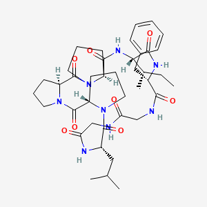 B600086 Heterophyllin B CAS No. 145459-19-4