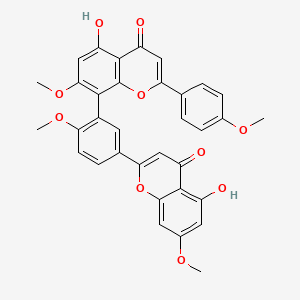 molecular formula C34H26O10 B600175 4H-1-Benzopyran-4-one, 5-hydroxy-8-(5-(5-hydroxy-7-methoxy-4-oxo-4H-1-benzopyran-2-yl)-2-methoxyphenyl)-7-methoxy-2-(4-methoxyphenyl)-, (+)- CAS No. 3778-25-4
