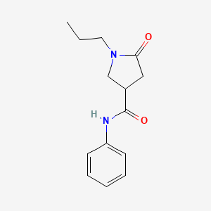 5-oxo-N-phenyl-1-propyl-3-pyrrolidinecarboxamide