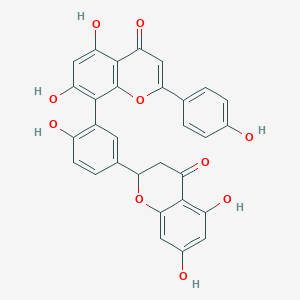 molecular formula C30H20O10 B600323 8-[5-(5,7-二羟基-4-氧代-2,3-二氢色满-2-基)-2-羟基苯基]-5,7-二羟基-2-(4-羟基苯基)色满-4-酮 CAS No. 34340-51-7