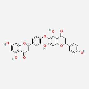 molecular formula C30H20O10 B600327 2,3-Dihydrohinokiflavone CAS No. 34292-87-0