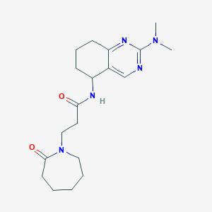 molecular formula C19H29N5O2 B6003368 N-[2-(dimethylamino)-5,6,7,8-tetrahydro-5-quinazolinyl]-3-(2-oxo-1-azepanyl)propanamide 