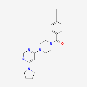 molecular formula C23H31N5O B6003834 4-[4-(4-tert-butylbenzoyl)-1-piperazinyl]-6-(1-pyrrolidinyl)pyrimidine 