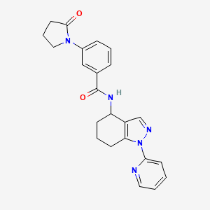 molecular formula C23H23N5O2 B6004351 3-(2-oxo-1-pyrrolidinyl)-N-[1-(2-pyridinyl)-4,5,6,7-tetrahydro-1H-indazol-4-yl]benzamide 