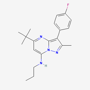molecular formula C20H25FN4 B6004510 5-tert-butyl-3-(4-fluorophenyl)-2-methyl-N-propylpyrazolo[1,5-a]pyrimidin-7-amine 