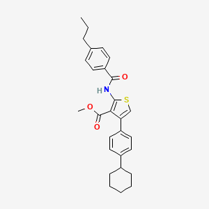 molecular formula C28H31NO3S B6004631 methyl 4-(4-cyclohexylphenyl)-2-[(4-propylbenzoyl)amino]-3-thiophenecarboxylate 