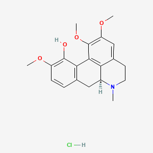 molecular formula C20H23NO4 B600508 (+)-异小檗碱盐酸盐 CAS No. 13552-72-2