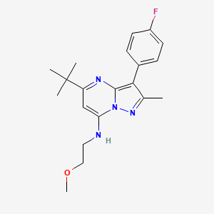molecular formula C20H25FN4O B6005864 5-tert-butyl-3-(4-fluorophenyl)-N-(2-methoxyethyl)-2-methylpyrazolo[1,5-a]pyrimidin-7-amine 
