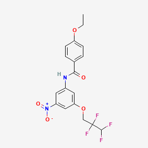 molecular formula C18H16F4N2O5 B6005997 4-ethoxy-N-[3-nitro-5-(2,2,3,3-tetrafluoropropoxy)phenyl]benzamide 