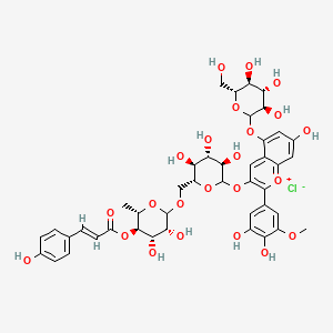  B600640 1-Benzopyrylium, 3-((6-O-(6-deoxy-4-O-((2E)-3-(4-hydroxyphenyl)-1-oxo-2-propenyl)-alpha-L-mannopyranosyl)-beta-D-glucopyranosyl)oxy)-2-(3,4-dihydroxy-5-methoxyphenyl)-5-(beta-D-glucopyranosyloxy)-7-hydroxy-,chloride CAS No. 69915-09-9