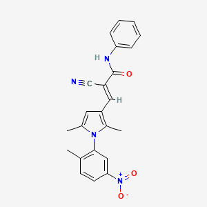 molecular formula C23H20N4O3 B6006587 2-cyano-3-[2,5-dimethyl-1-(2-methyl-5-nitrophenyl)-1H-pyrrol-3-yl]-N-phenylacrylamide 