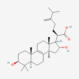 molecular formula C31H50O4 B600768 Tumulosic acid 