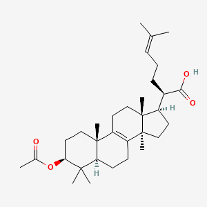 molecular formula C32H50O4 B600769 Tsugaric acid A CAS No. 174391-64-1