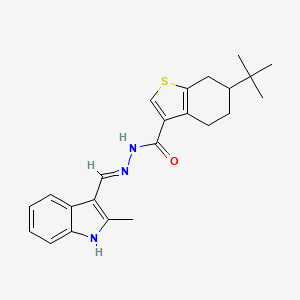 molecular formula C23H27N3OS B6008610 6-tert-butyl-N'-[(2-methyl-1H-indol-3-yl)methylene]-4,5,6,7-tetrahydro-1-benzothiophene-3-carbohydrazide 