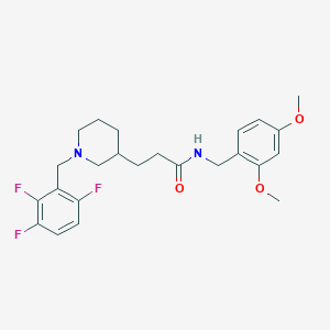 molecular formula C24H29F3N2O3 B6010394 N-(2,4-dimethoxybenzyl)-3-[1-(2,3,6-trifluorobenzyl)-3-piperidinyl]propanamide 