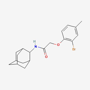 N-2-adamantyl-2-(2-bromo-4-methylphenoxy)acetamide