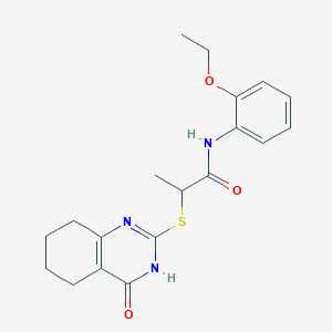 molecular formula C19H23N3O3S B6012444 N-(2-ethoxyphenyl)-2-[(4-oxo-3,4,5,6,7,8-hexahydro-2-quinazolinyl)thio]propanamide 
