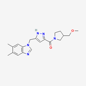 molecular formula C20H25N5O2 B6012946 1-[(3-{[3-(methoxymethyl)-1-pyrrolidinyl]carbonyl}-1H-pyrazol-5-yl)methyl]-5,6-dimethyl-1H-benzimidazole 