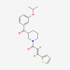 molecular formula C22H25NO3S B6013272 (3-isopropoxyphenyl){1-[(2E)-3-(2-thienyl)-2-propenoyl]-3-piperidinyl}methanone 