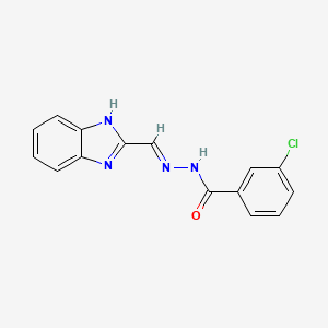 N'-[(E)-1H-benzimidazol-2-ylmethylidene]-3-chlorobenzohydrazide