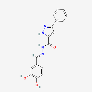 molecular formula C17H14N4O3 B6024548 N'-[(E)-(3,4-Dihydroxyphenyl)methylidene]-3-phenyl-1H-pyrazole-5-carbohydrazide 