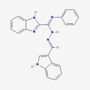 molecular formula C23H18N6 B6024978 N'-(1H-indol-3-ylmethylene)-N-phenyl-1H-benzimidazole-2-carbohydrazonamide 