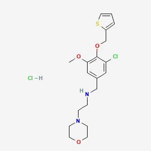 molecular formula C19H26Cl2N2O3S B6025215 N-[[3-chloro-5-methoxy-4-(thiophen-2-ylmethoxy)phenyl]methyl]-2-morpholin-4-ylethanamine;hydrochloride 