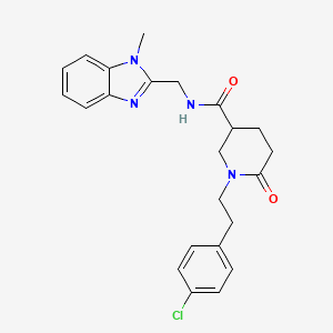 1-[2-(4-chlorophenyl)ethyl]-N-[(1-methyl-1H-benzimidazol-2-yl)methyl]-6-oxo-3-piperidinecarboxamide