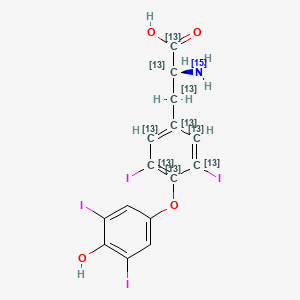 O-(4-hydroxy-3,5-diiodophenyl)-3,5-diiodo-L-tyrosine-carboxy,alpha,beta,1,2,3,4,5,6-13C9-15N