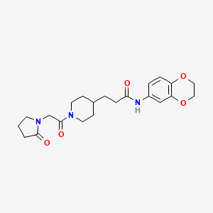 molecular formula C22H29N3O5 B6027384 N-(2,3-dihydro-1,4-benzodioxin-6-yl)-3-{1-[(2-oxo-1-pyrrolidinyl)acetyl]-4-piperidinyl}propanamide 