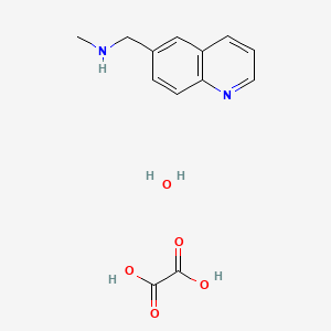 molecular formula C13H16N2O5 B6031005 N-methyl-1-(6-quinolinyl)methanamine ethanedioate hydrate 