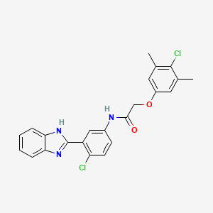 N-[3-(1H-benzimidazol-2-yl)-4-chlorophenyl]-2-(4-chloro-3,5-dimethylphenoxy)acetamide