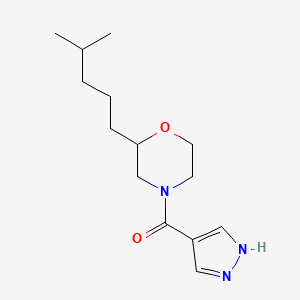 2-(4-methylpentyl)-4-(1H-pyrazol-4-ylcarbonyl)morpholine