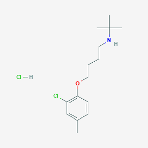 molecular formula C15H25Cl2NO B6031727 N-(tert-butyl)-4-(2-chloro-4-methylphenoxy)-1-butanamine hydrochloride 